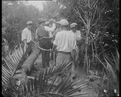 Image représentant Travaux dans les jardins