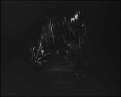 Image représentant Séjour du marquis et la marquise de Tokugawa, invités japonais dans la propriété d'Albert Kahn