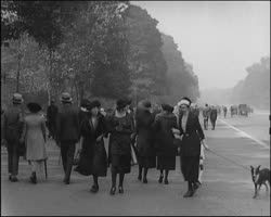 Image représentant Avenue du Bois de Boulogne