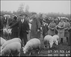 Image représentant La foire de Sainte Croix
