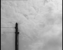 Image représentant Arrivée de l'avion du poète hindou Tagore depuis Londres