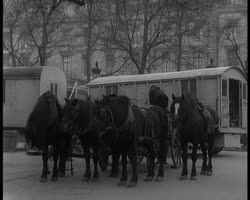 Image représentant Montage des baraques pour le Jour de l'An