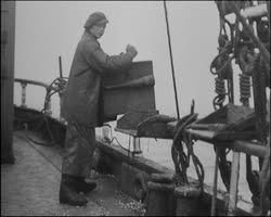 Image représentant Pêche à la morue à la voile et au chalutier