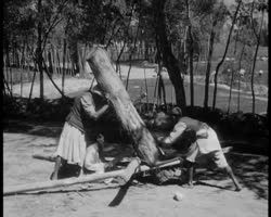 Image représentant Scènes de la vie rurale