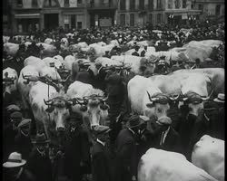 Image représentant Foire annuelle de la Saint-Ladres