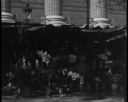 Image représentant Marchandes de fleurs place de la Madeleine pour la Toussaint