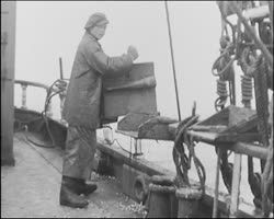 Image représentant Pêche à la morue à la voile et au chalutier