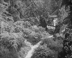 Image représentant Albert Kahn reçoit monsieur Milton Herrick, ambassadeur des Etats-Unis, et ses enfants dans les jardins de sa propriété de Boulogne.
