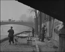 Image représentant Bords de Seine par temps de brouillard