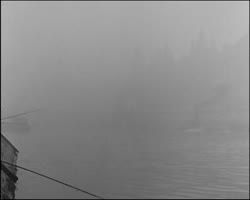 Image représentant Les bords de la Seine par le brouillard