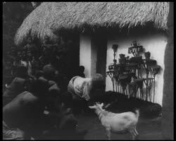 Image représentant Culte des ancêtres de la famille Alavo