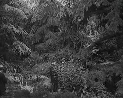 Image représentant Albert Kahn reçoit des visiteurs japonais dans les jardins de sa propriété de Boulogne.