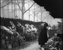 Image représentant Marché aux fleurs place de la Madeleine