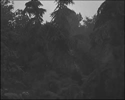 Image représentant Le parc de M. Kahn