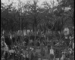 Image représentant Cimetière de Bagneux à la Toussaint