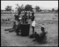 Image représentant Pileuses de tabac