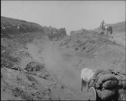 Image représentant Caravane de pelleterie descendant des hauts plateaux