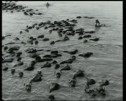 Image représentant Aspects de la vie rurale