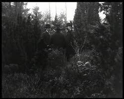 Image représentant Albert Kahn reçoit Alexandre 1er, prince de Serbie dans les jardins de sa propriété de Boulogne.