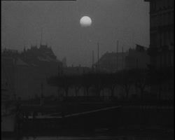 Image représentant Mouette sur le lac Léman et effets de soleil