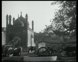 Image représentant Scènes de la vie rurale