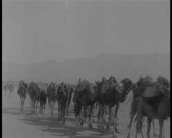 Image représentant Scènes de rue