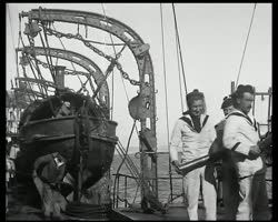 Image représentant Navire de guerre sur la Méditerranée