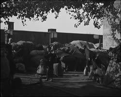 Image représentant Tchorlou et Andrinople