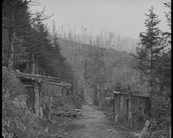 Image représentant Les régions dévastées