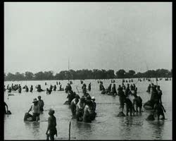 Image représentant Pêche