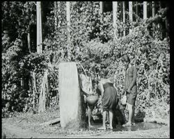 Image représentant Vie quotidienne