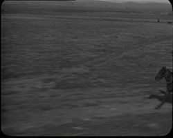 Image représentant Visite de Lord Balfour dans quelques colonies sionistes