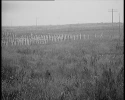 Image représentant Prisonniers allemands se rendant au travail