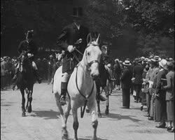 Image représentant Grand Steeple et journée des Drags à Auteuil