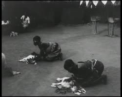 Image représentant Cérémonie aux vodoun Hebiosso et Dan