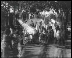 Image représentant Rites funéraires