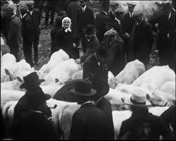 Image représentant Foire annuelle de la St Ladres