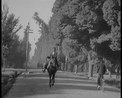 Image représentant L'avenue Tchehar Bagh