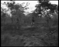 Image représentant Chasse et feux de brousse