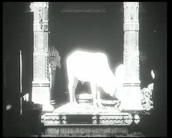 Image représentant Ruelles du Chowk