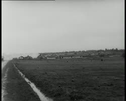 Image représentant Camps de prisonniers allemands