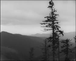 Image représentant Vallée de la Fecht