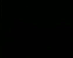 Image représentant Monument du député André Thome au Bois des Corbeaux