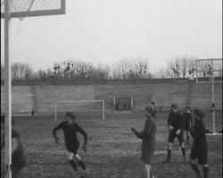 Image représentant Basket-ball féminin au stade Pershing