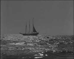 Image représentant Pêche à la morue