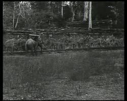 Image représentant La « grande ville-royaume »