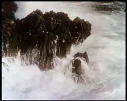 Image représentant Essai de film en couleurs naturelles, 1928