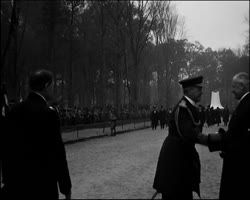 Image représentant Fête de l'armistice