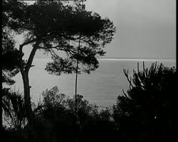 Image représentant Professeurs et élèves de l'Ecole centrale dans la propriété d'Albert Kahn