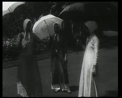 Image représentant Jeunes femmes dans le jardin botanique